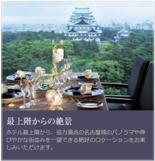 nagoya castle from table.png